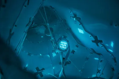 ZodiacBet Casino Farsímaforrit